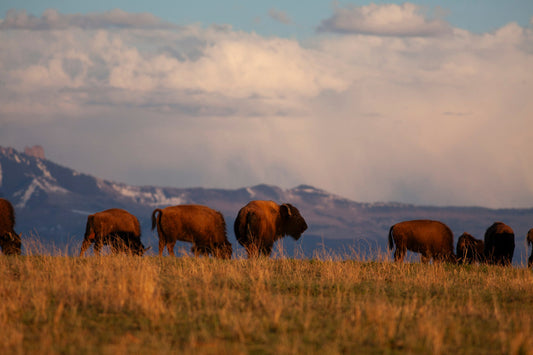 Words from the Ranch 9/9/2024