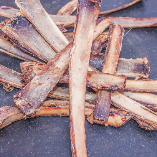 Bison Rib Bones